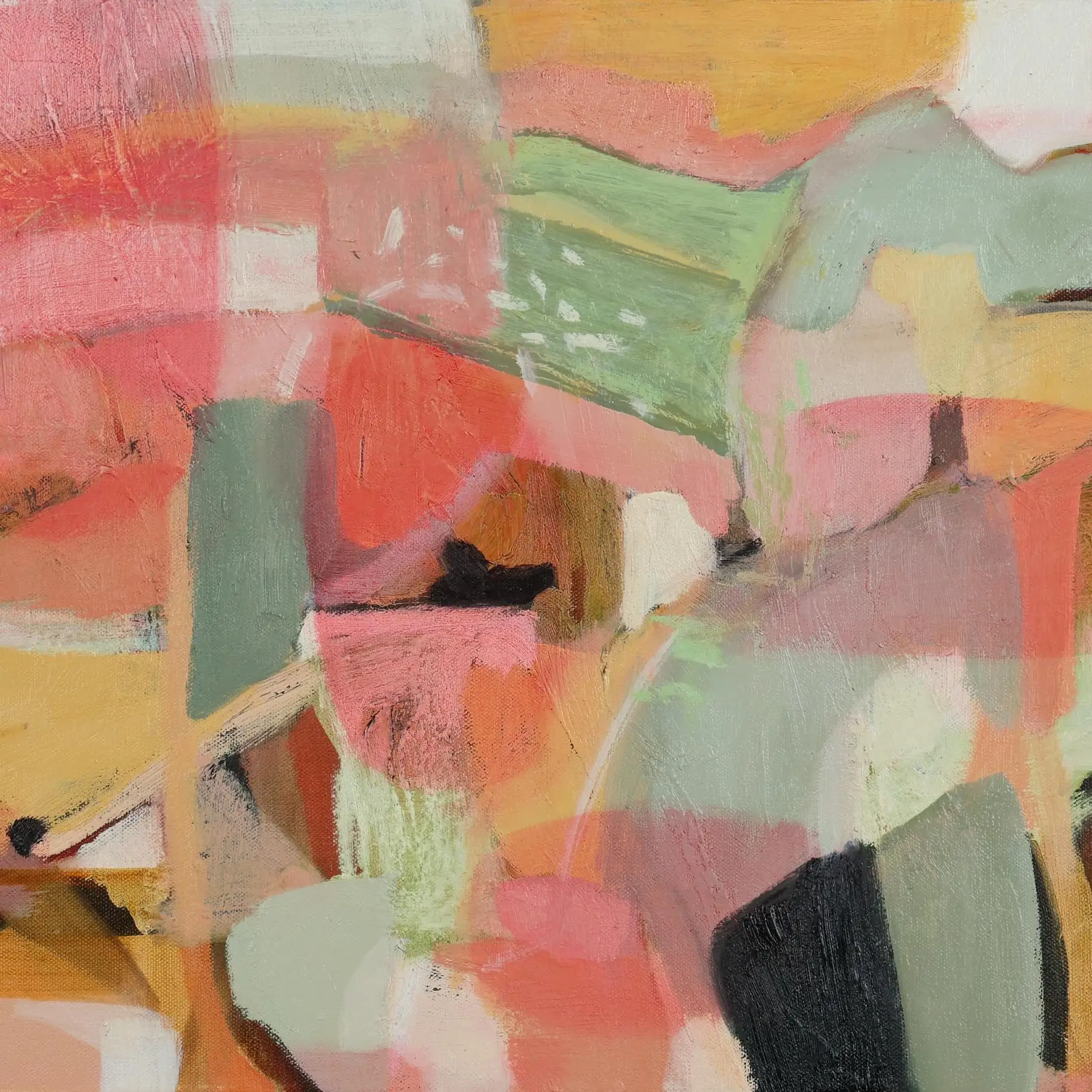 Glorious Ranges_2026_OIl on canvas _54x 44cm_framed 