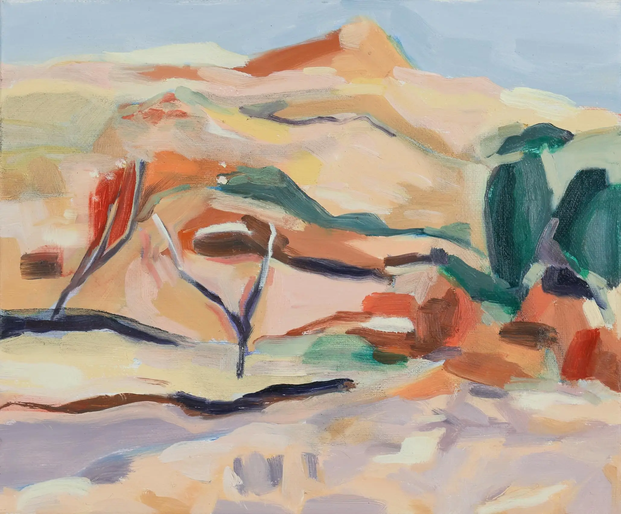 Shari Nye_From The Shearers Shed Fowlers Gap 6_2025_Oil on linen_31 x 26cm